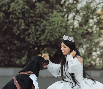زفاف فتاة من كلب