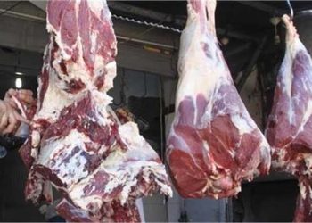 أسعار اللحوم السودانية