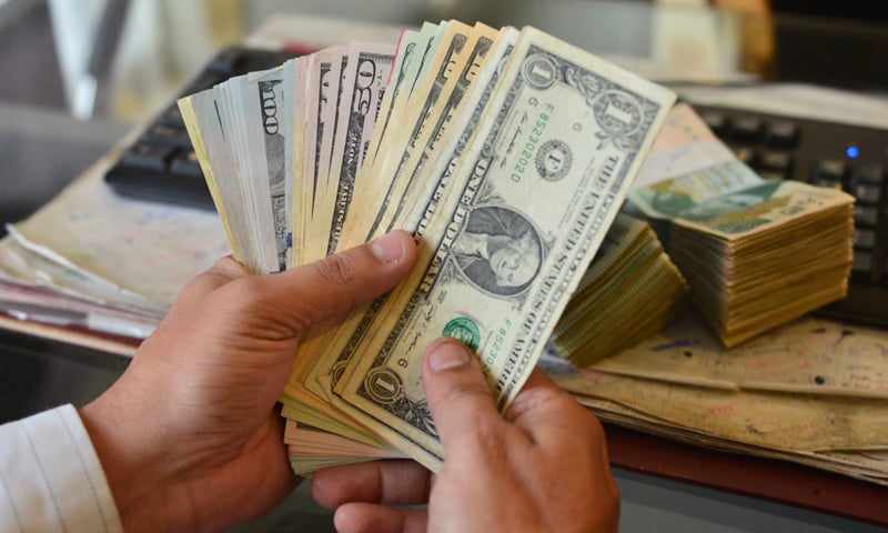 أسعار الدولار اليوم في مصر تحديث يومي