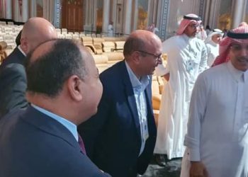 وزير المالية المصري والسعودي