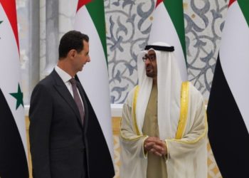 الرئيس الاماراتي والسوري
