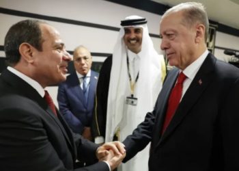 الرئيس السيسي ونظيره التركي